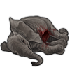 carcass_elephantcalf.png