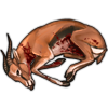 carcass_gazelle.png