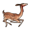 carcass_gerenuk.png