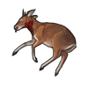 carcass_grysbok.png