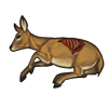 carcass_klipspringer.png