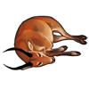 carcass_lechwe.png