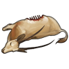 carcass_oryx.png