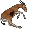 carcass_redfrontedgazelle.png