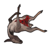 carcass_rhebok.png