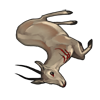 carcass_rhimgazelle.png