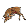 carcass_steenbok.png