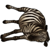 drownedzebra.png