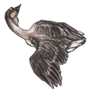 goosecarcass.png