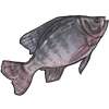 Nommable Fish item.