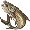 tigerfish.png