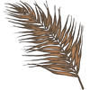 DryPalmLeaf.png