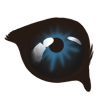 app_eye_drongo.png