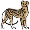 appcheetah.png