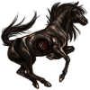 blackstallion.png