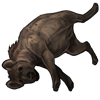 Drowned Hyena