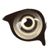 eyeapprichat.png