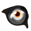 Eye Applicator: Struthio