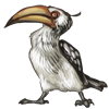 Hornbill Majordomo