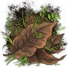 underbrush.png