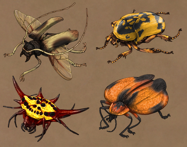 2019-april-beetles.jpg