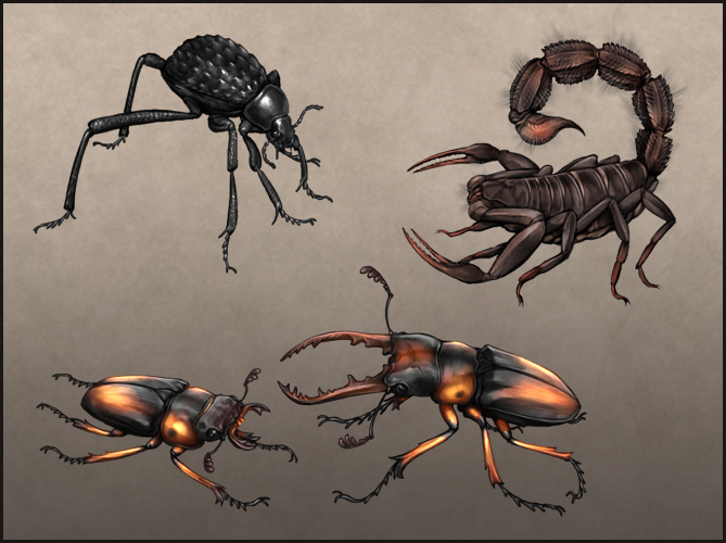 2020-august-beetles.jpg