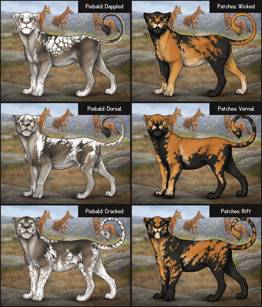 Does anyone have photos of piebald mutation in game