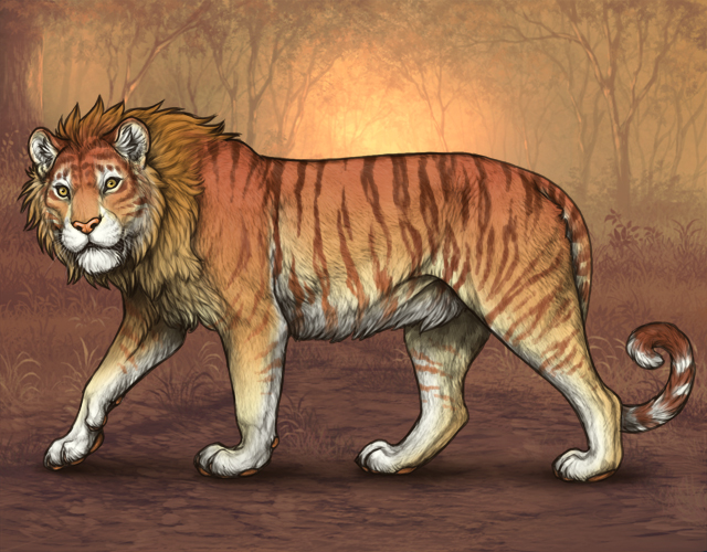 Retired Tigon Hype Lioden Wiki