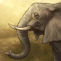 femaleelephant.png