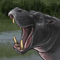 pygmyhippo.png
