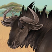 wildebeestbull.png